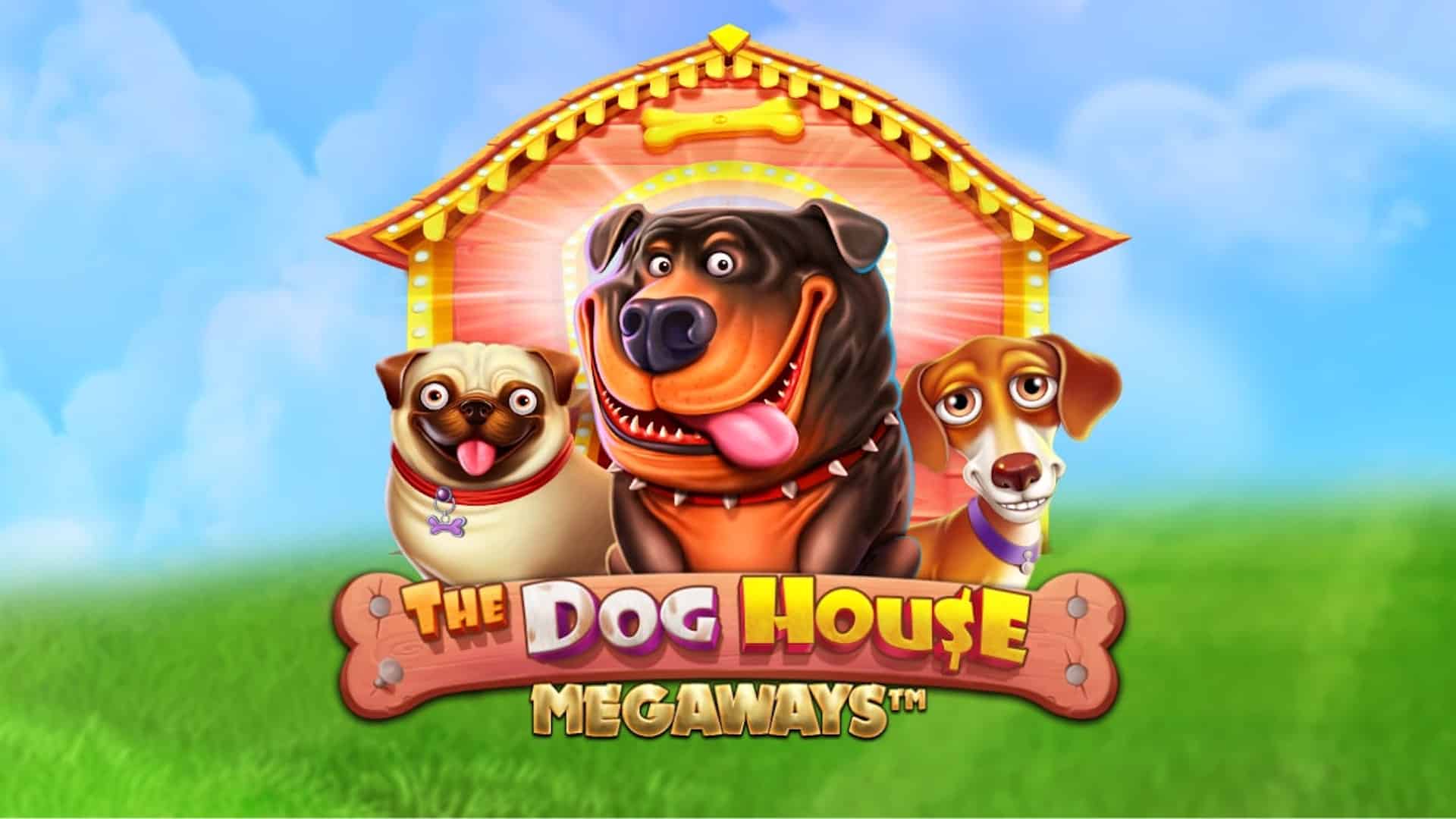 The Dog House Megaways Online 117.649 megaways DutchGamblers