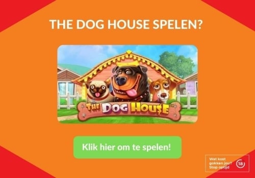 De Top 5 Beste Slots bij JACKS.NL