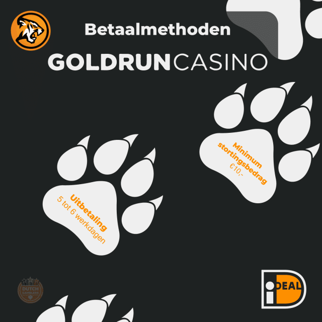 Goldrun | Online Casino Review 2025 | DutchGamblers
